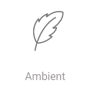 Record Ambient